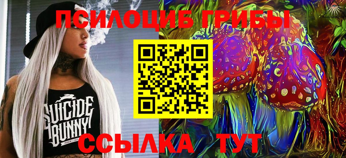 Псилоцибиновые грибы Psilocybe  Галлюциногенные грибы Psilocybe  Губаха  Вход с VPN 