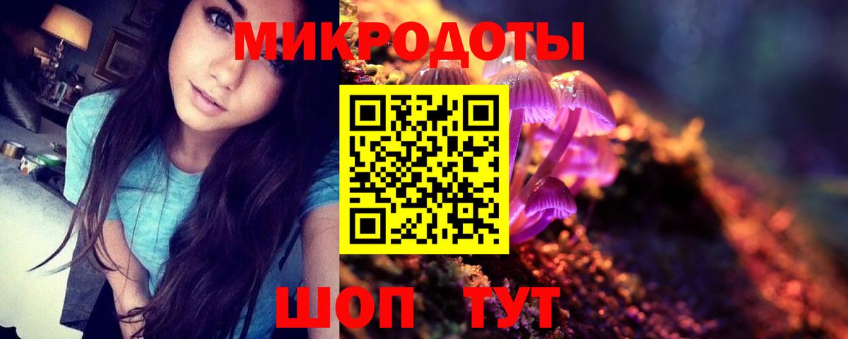 Псилоцибиновые грибы прущие грибы Губаха